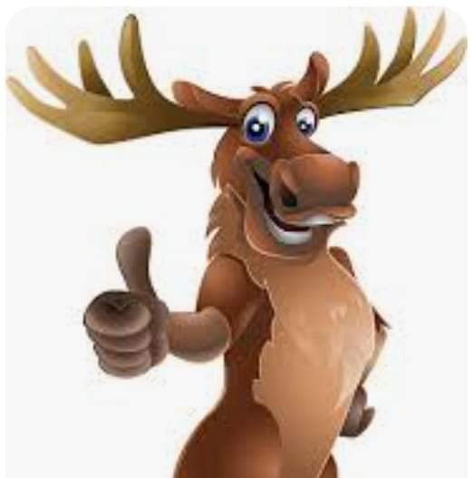 Moose Entry Systems